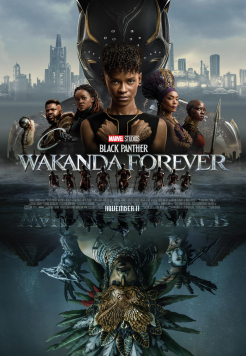Black Panther: Wakanda Forever (2022) IMAX Hindi ORG Dubbed Full Movie HDRip Movie images
