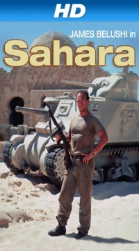 Sahara (1995) Hindi ORG Dubbed Full Movie BluRay  Movie images