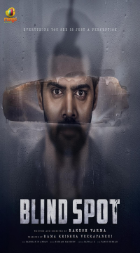 Blind Spot (2025) Hindi ORG Dubbed Full Movie HDRip Movie images